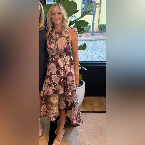 Adrianna Papell High Low Dress in Pink and Green Floral- only worn 1 time. - Picture 3 of 3